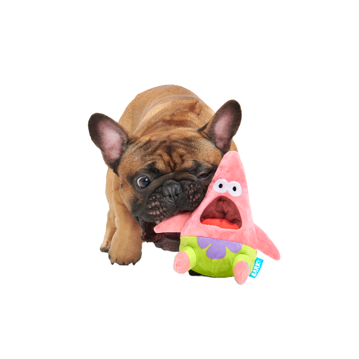 Surprised Patrick Plush Enrichment Dog Toy