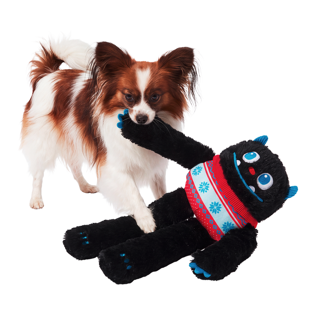 Sweaty Yeti Dog Toy – BARK