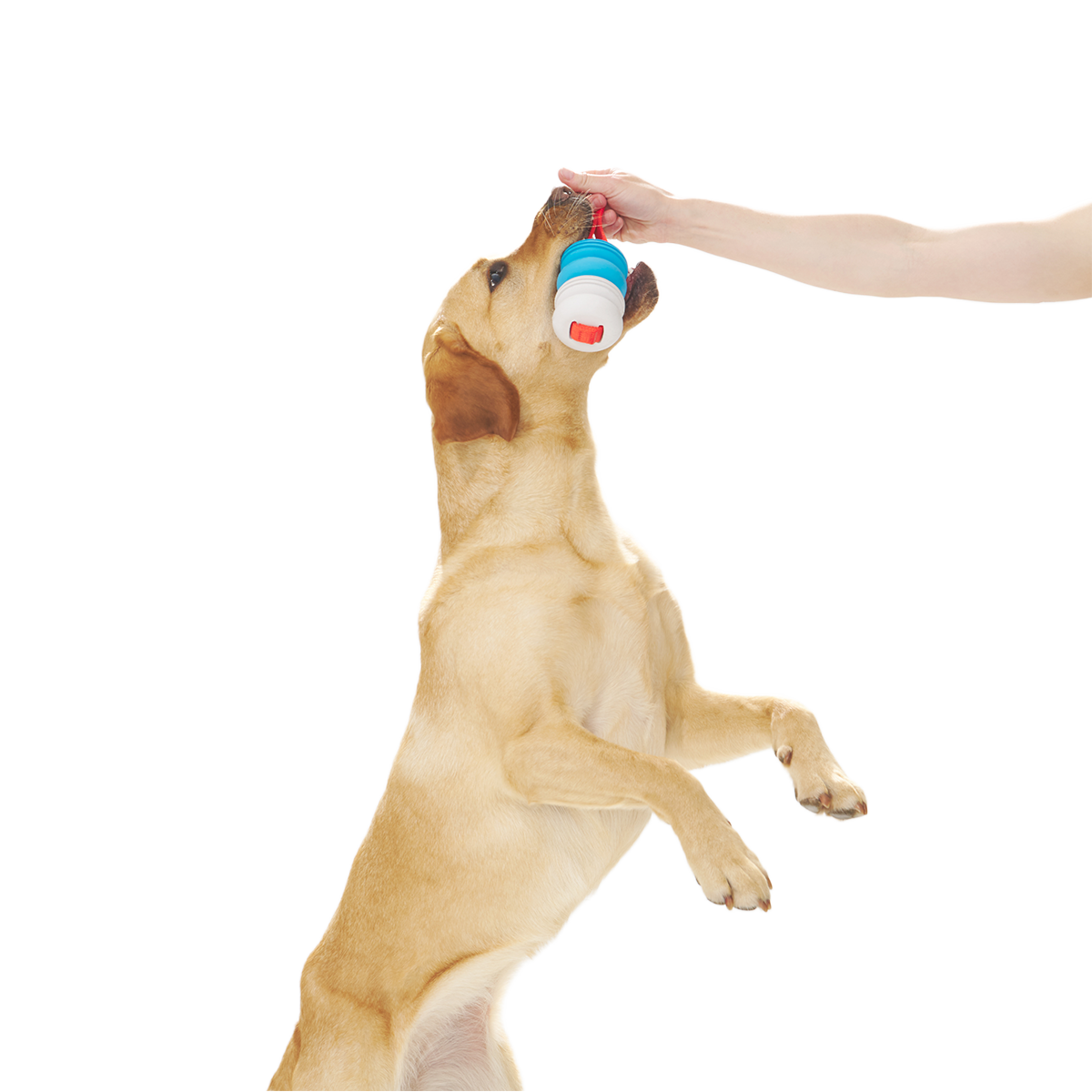 Swimming Pull Super Chewer Durable Tug Dog Toy