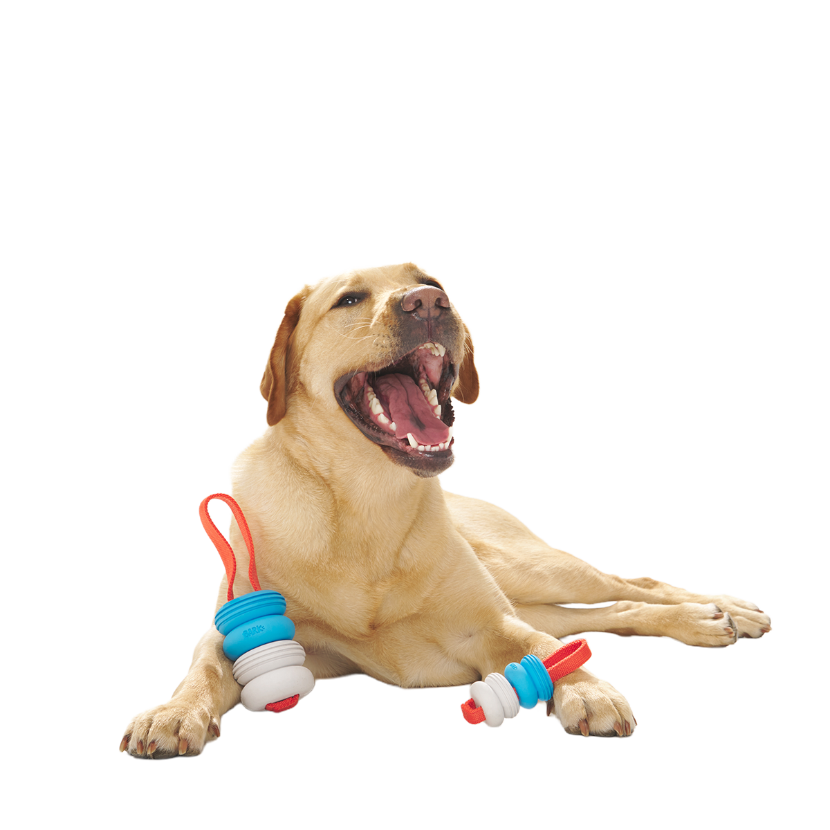 Swimming Pull Super Chewer Durable Tug Dog Toy