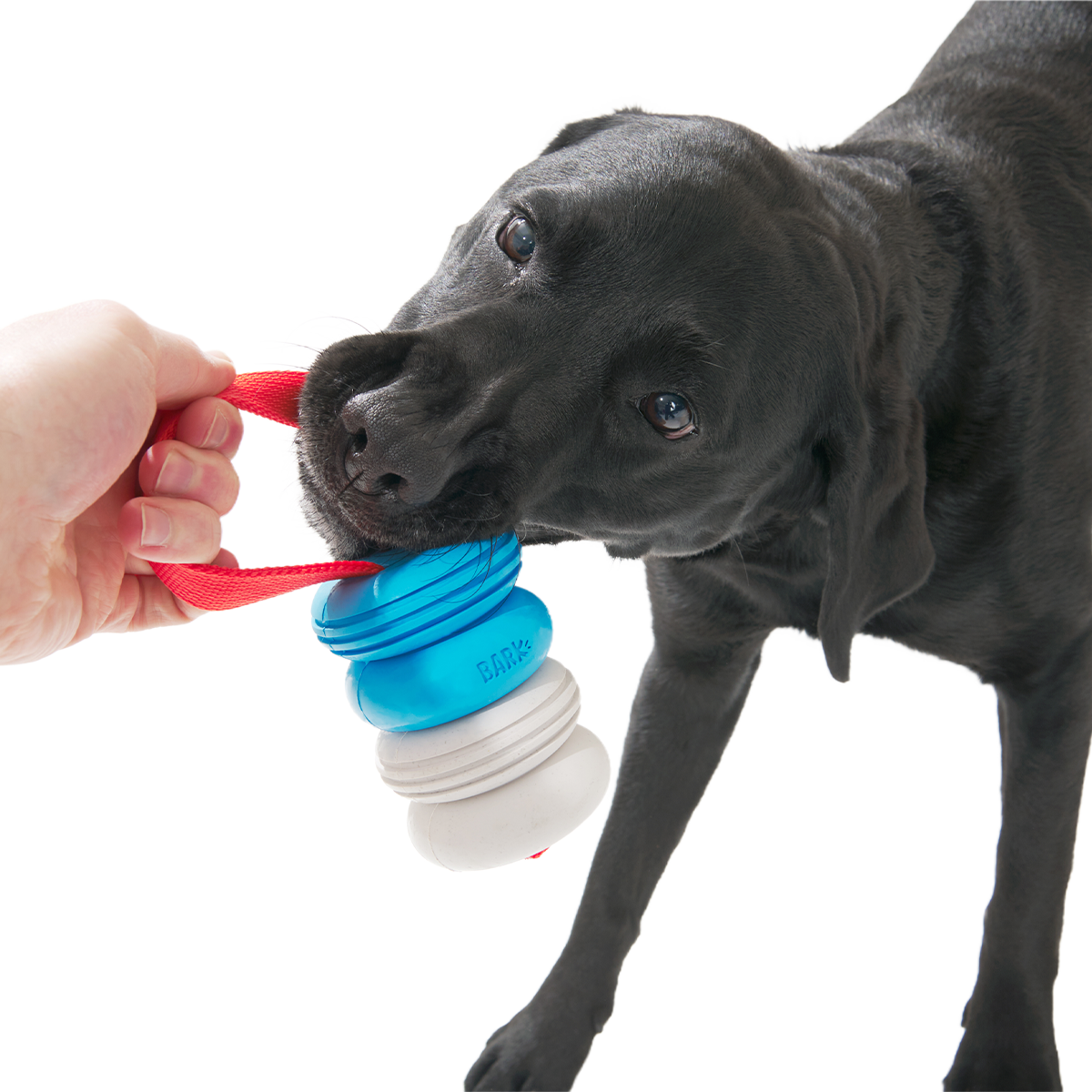 Swimming Pull Super Chewer Durable Tug Dog Toy