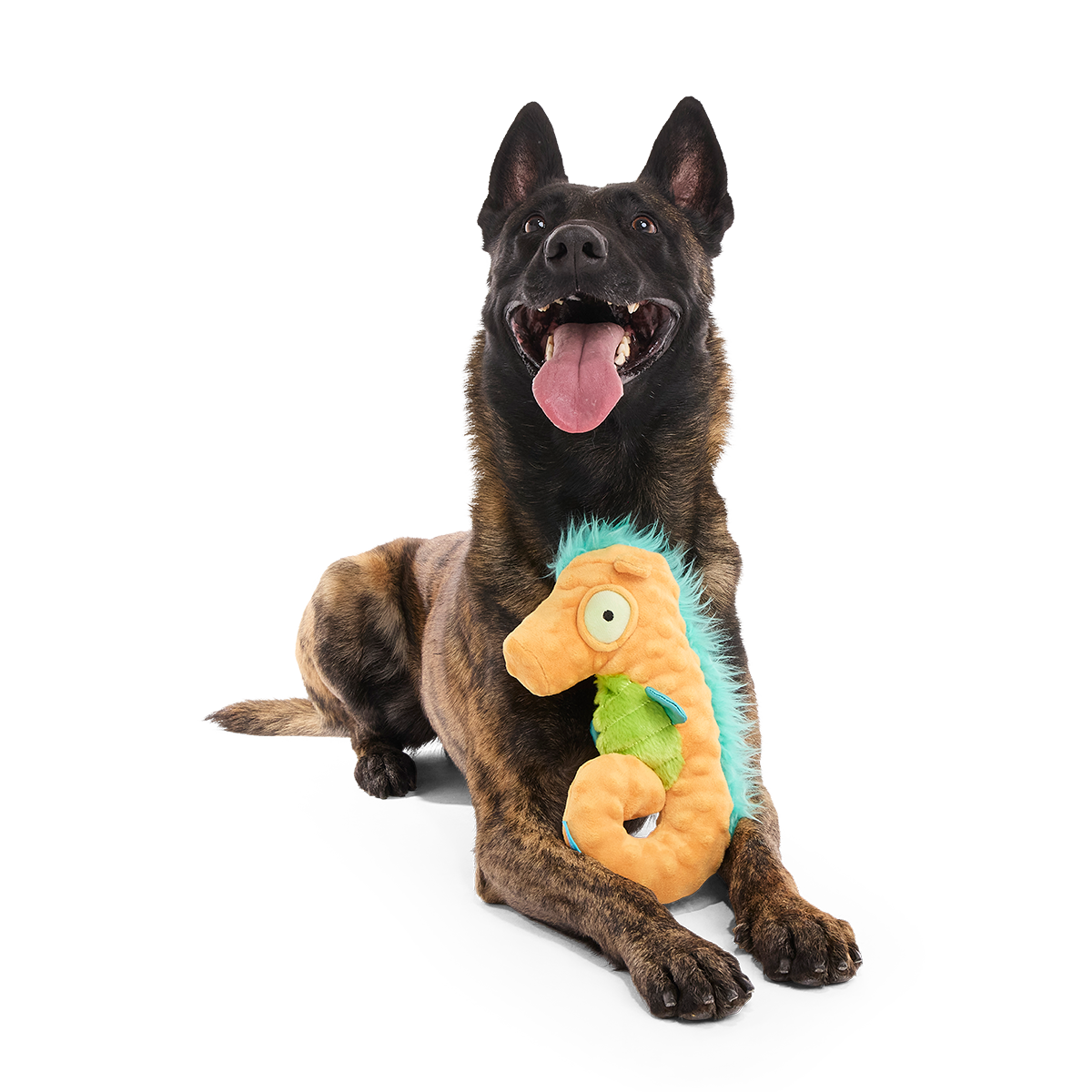 Swirlin Shirley the Seahorse Plush Tug Dog Toy