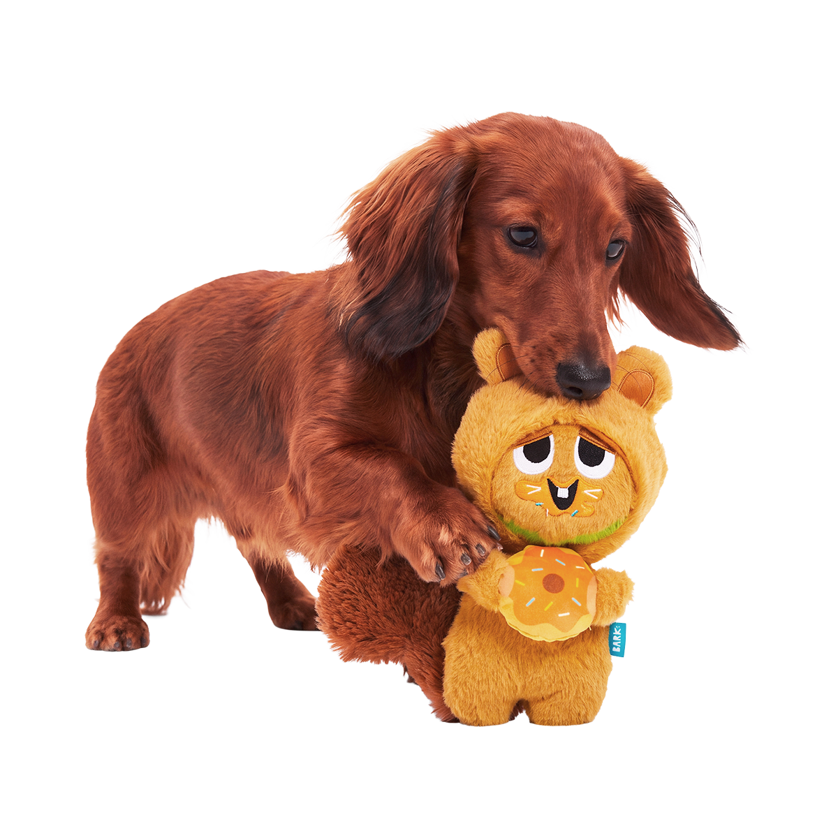 Switchy Squirrel Plush Multi-Part + Enrichment Dog Toy