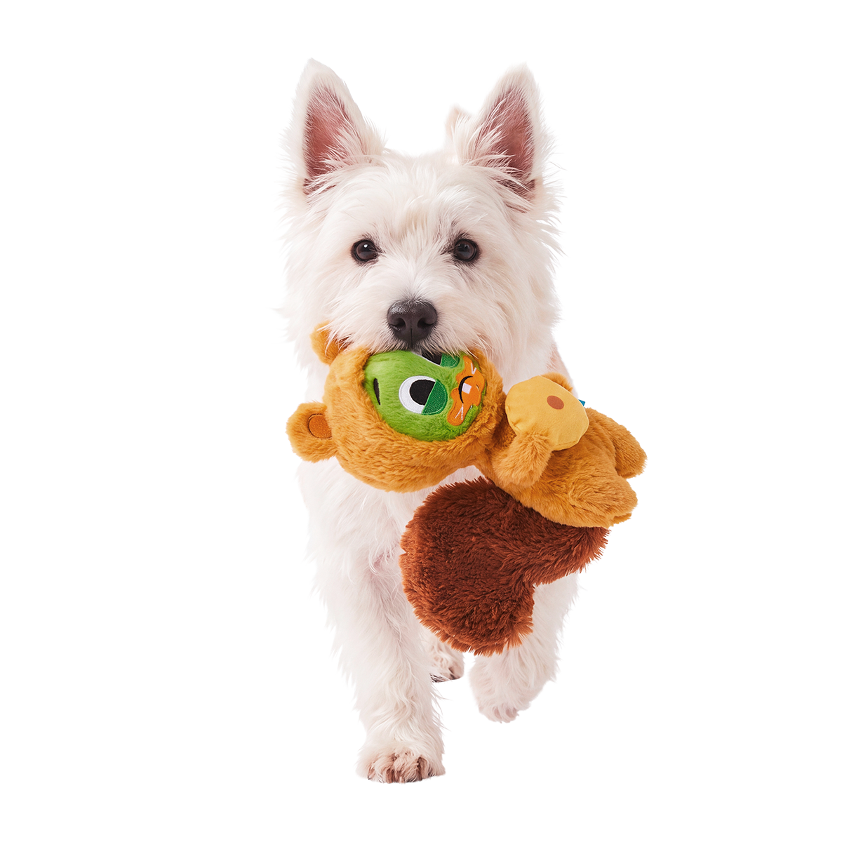 Switchy Squirrel Plush Multi-Part + Enrichment Dog Toy