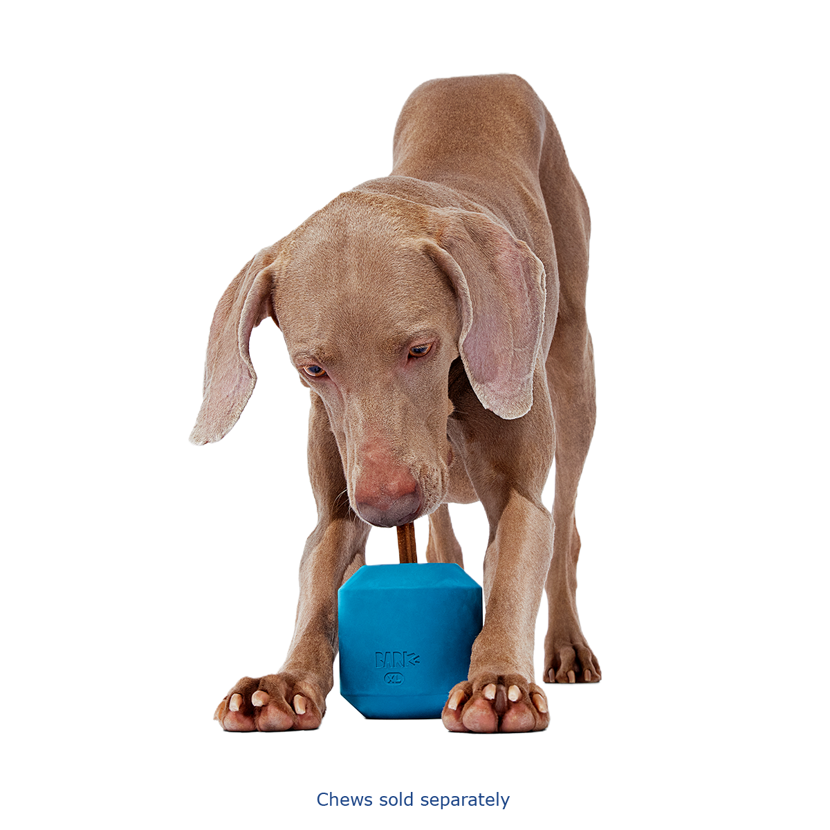 Tank Toy Super Chewer Durable Enrichment Dog Toy#Size_L