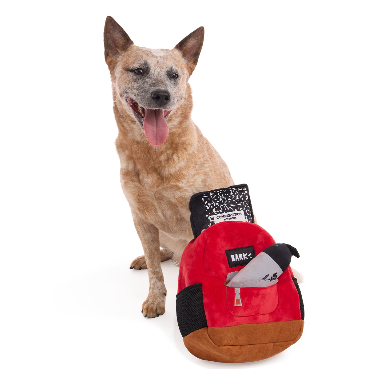 Teacher's Pet Backpack Plush Extra-Large + Multi-Part + Enrichment Dog Toy