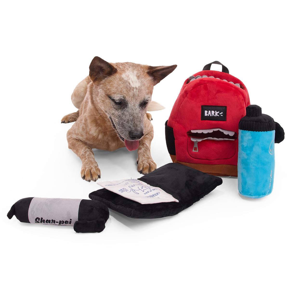Teacher's Pet Backpack Plush Extra-Large + Multi-Part + Enrichment Dog Toy