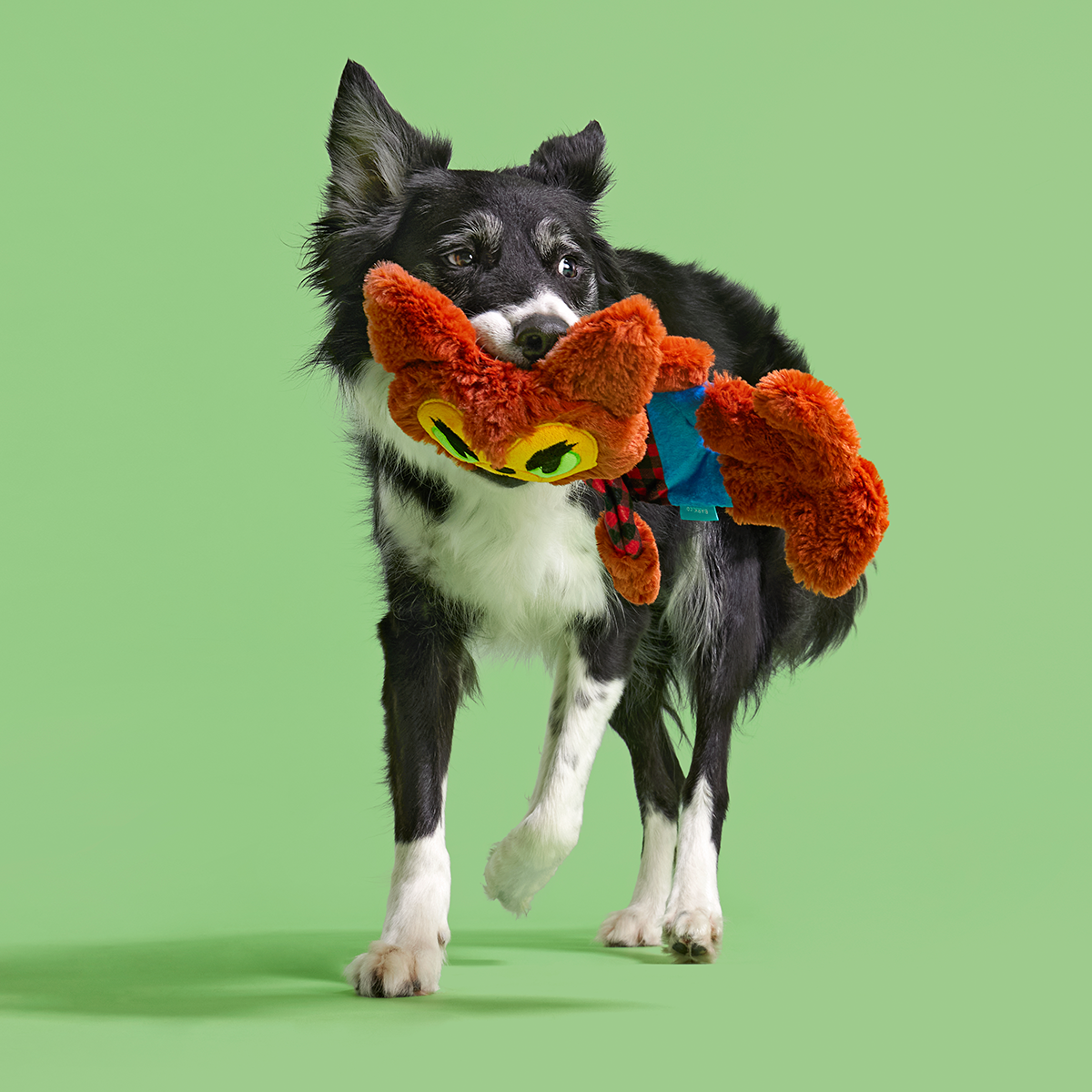 Teen Woof Plush Extra-Large Tug Dog Toy