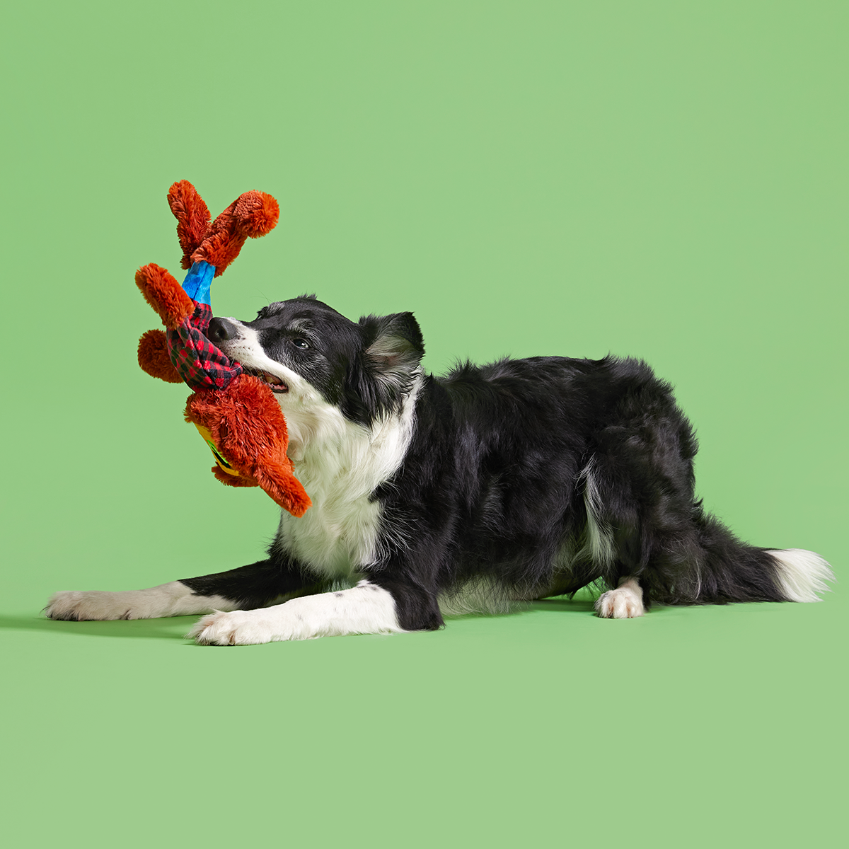 Teen Woof Plush Extra-Large Tug Dog Toy