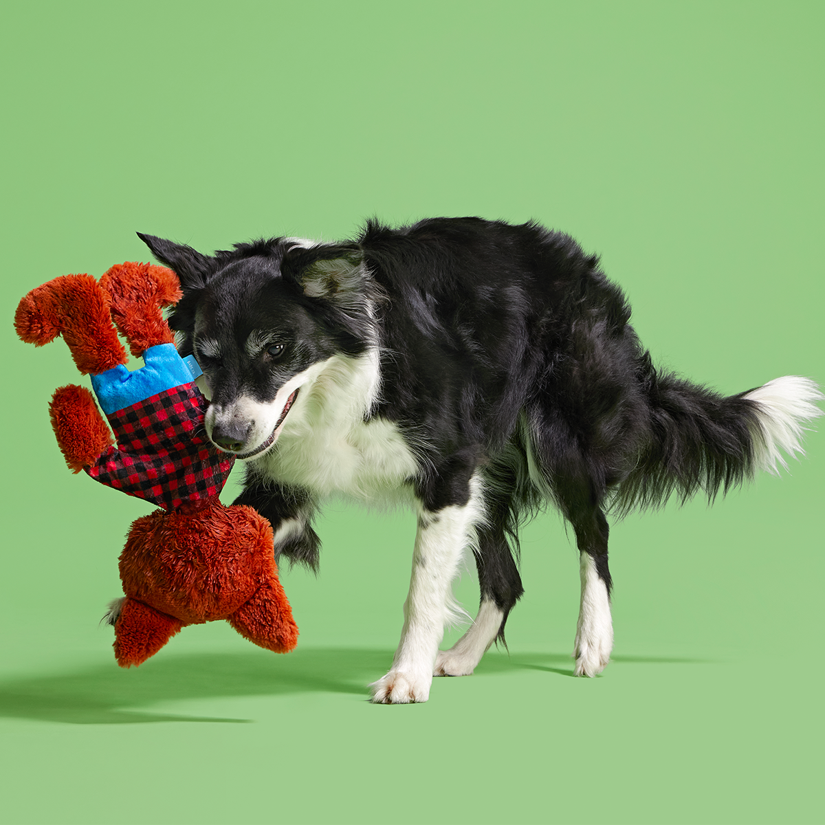 Teen Woof Plush Extra-Large Tug Dog Toy