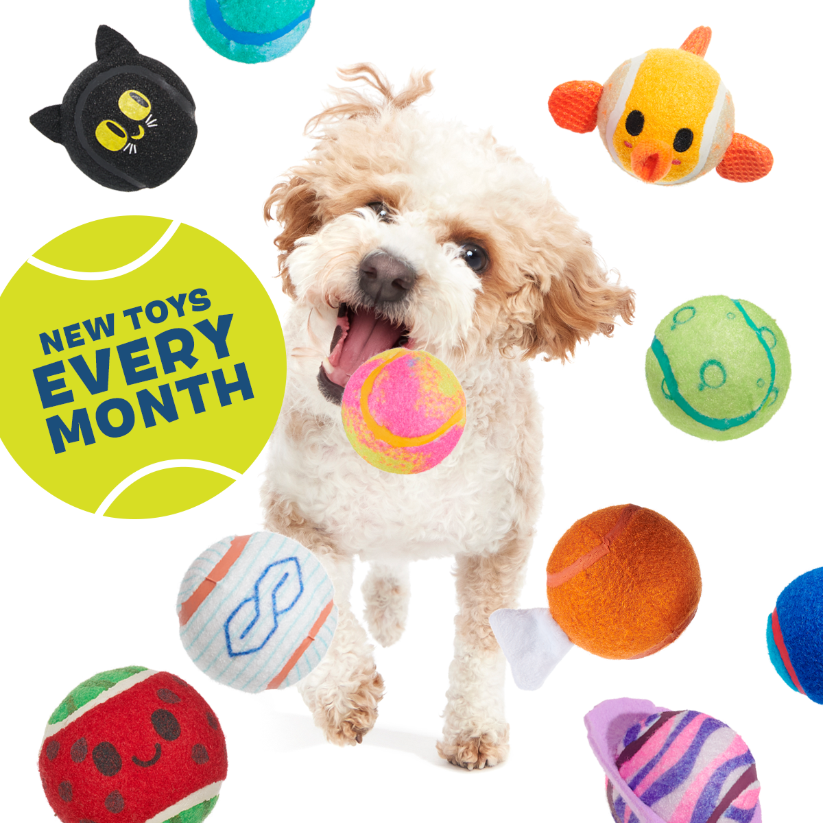 Tennis Ball Club - Main Image