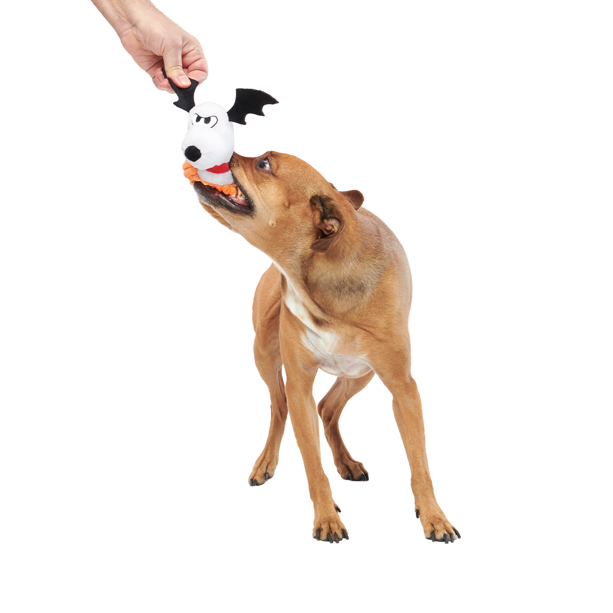 The Amazing BatDog Plush Tug Dog Toy