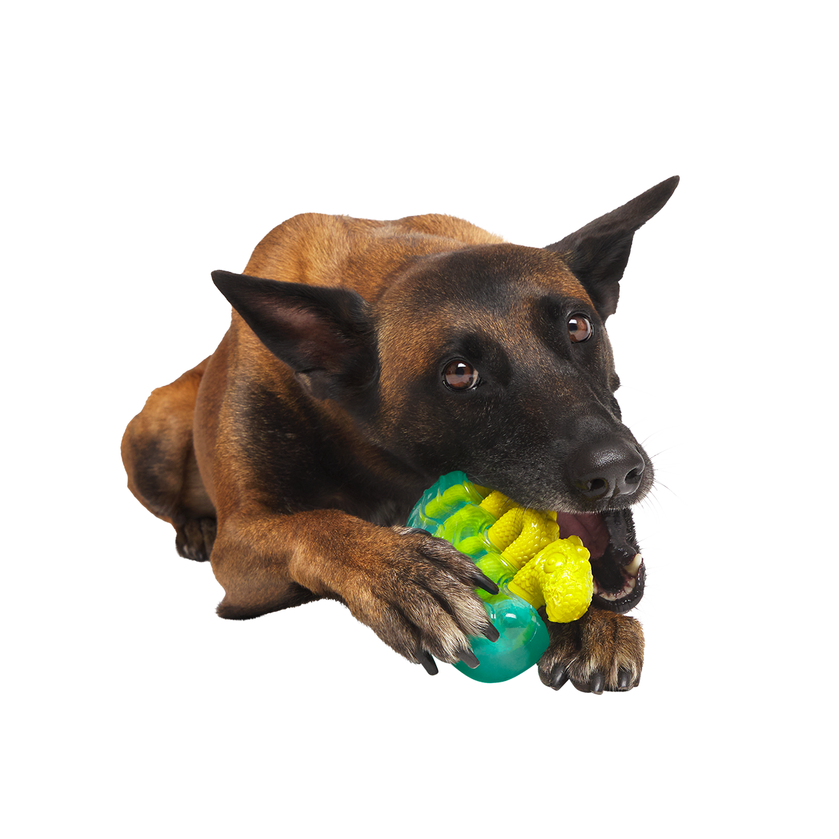 The Dogness Monster Super Chewer Durable Gnaw Dog Toy