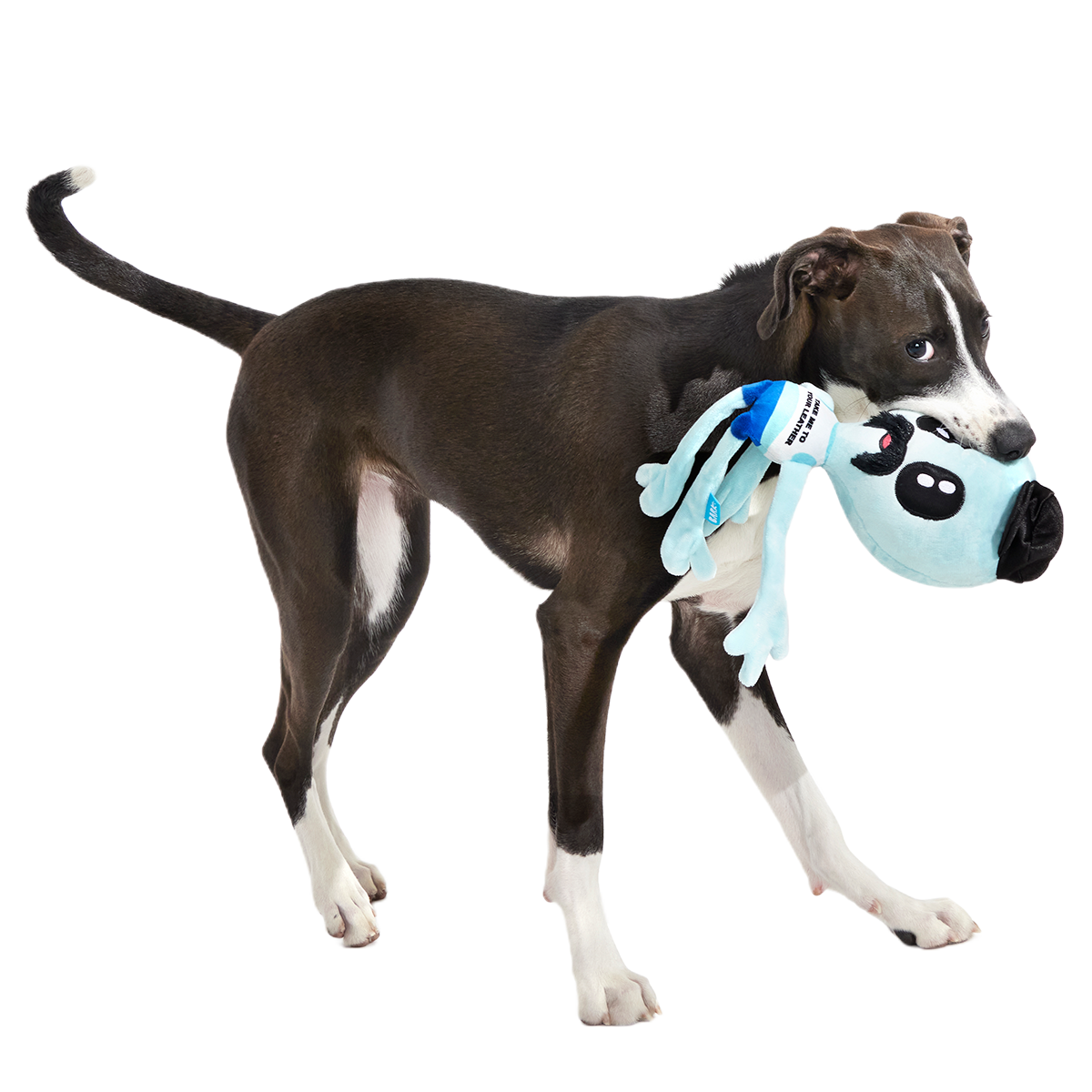 The Gaylien Plush 2-in-1 Tug Dog Toy