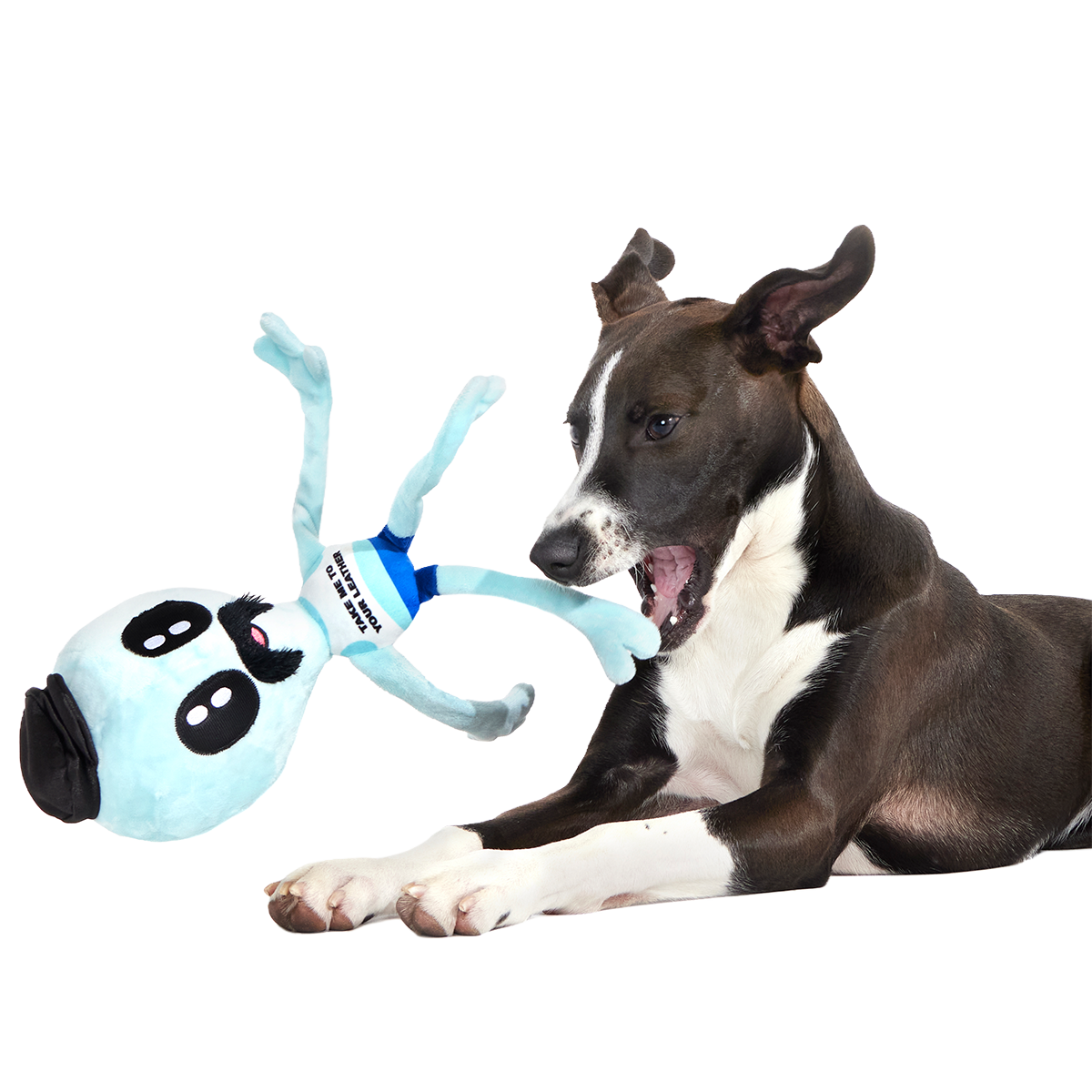 The Gaylien Plush 2-in-1 Tug Dog Toy