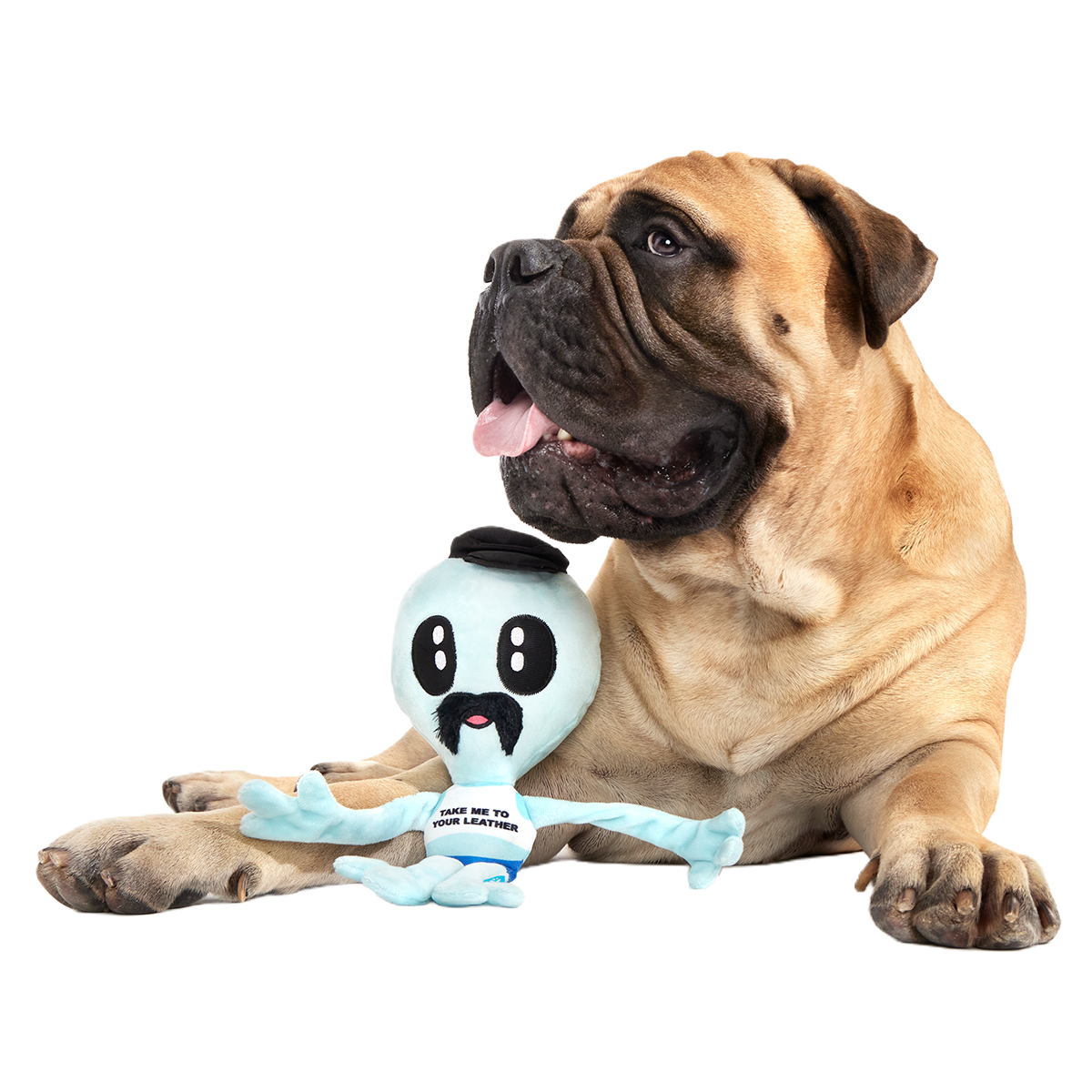 The Gaylien Plush 2-in-1 Tug Dog Toy