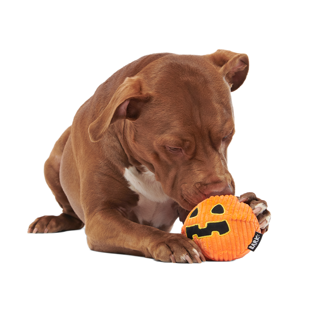 The Grrreat Pumpkin Super Chewer Durable 2-in-1 + Enrichment Dog Toy