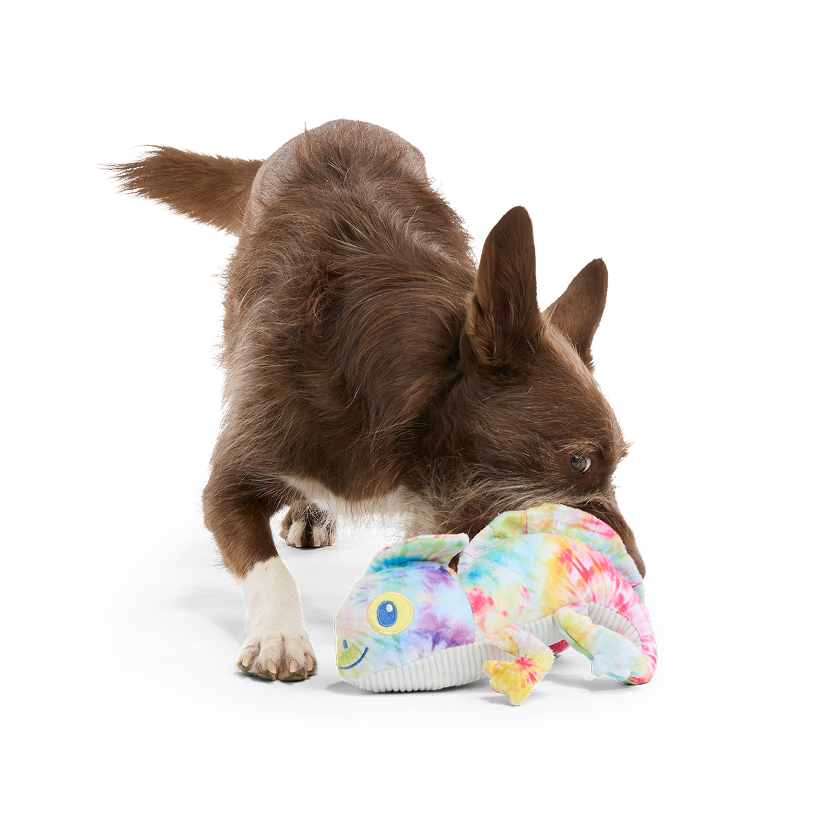 The Lizard King Plush Tug Dog Toy