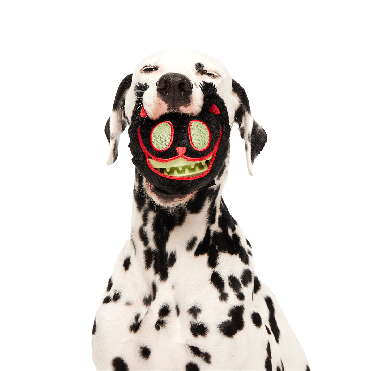 The Nightmeower Super Chewer Durable 2-in-1 + Fetch + Enrichment Dog Toy