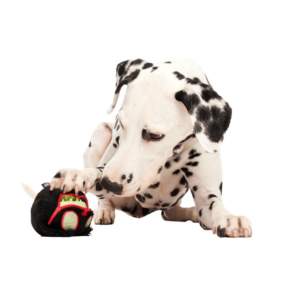 The Nightmeower Super Chewer Durable 2-in-1 + Fetch + Enrichment Dog Toy