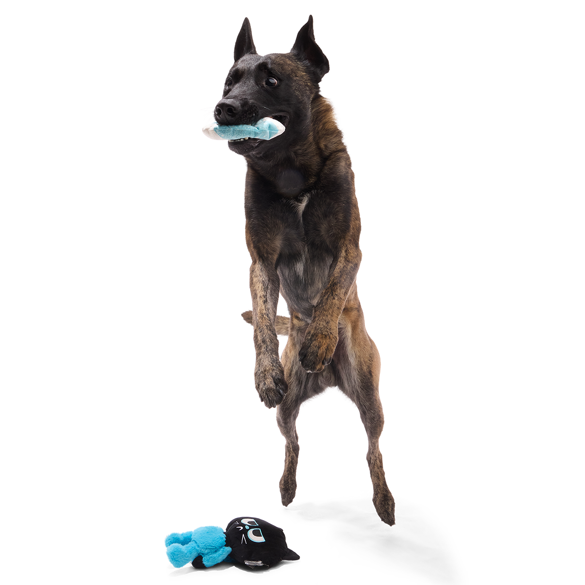 The Purrfect Crime Plush 2-in-1 + Tug Dog Toy