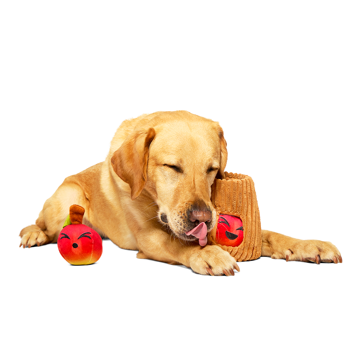 Them Apples Plush Multi-Part + Fetch + Enrichment Dog Toy
