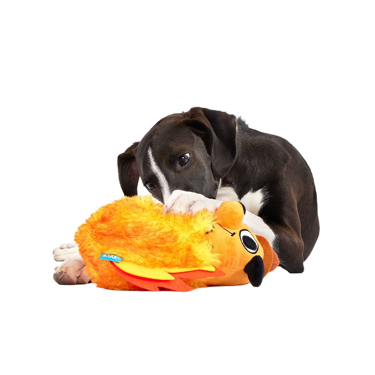 This is Fine Plush Multi-Part + Enrichment Dog Toy