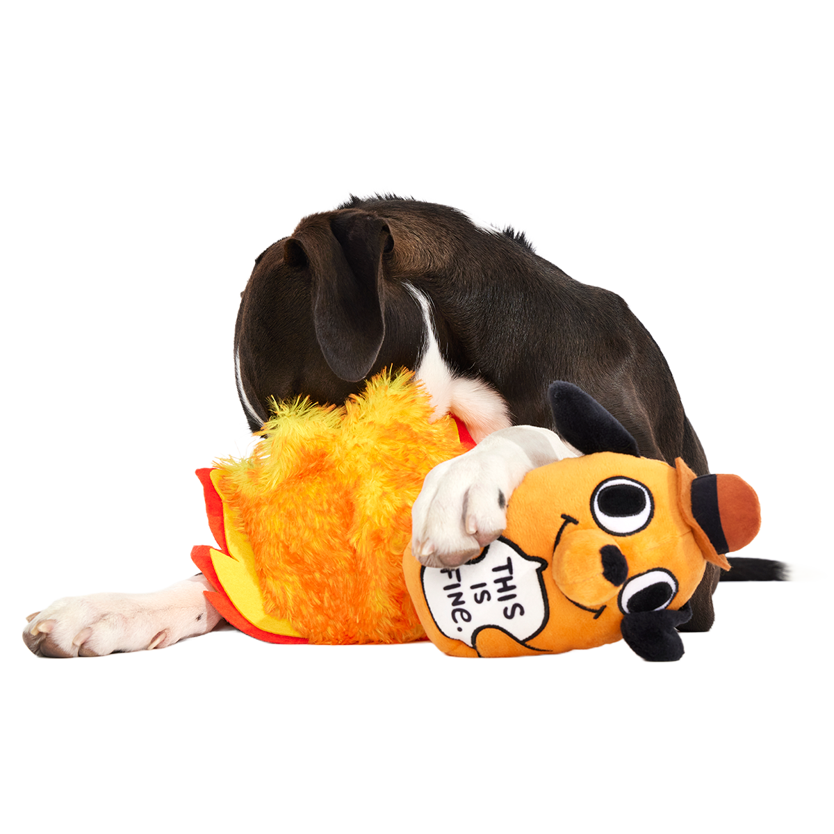 This is Fine Plush Multi-Part + Enrichment Dog Toy