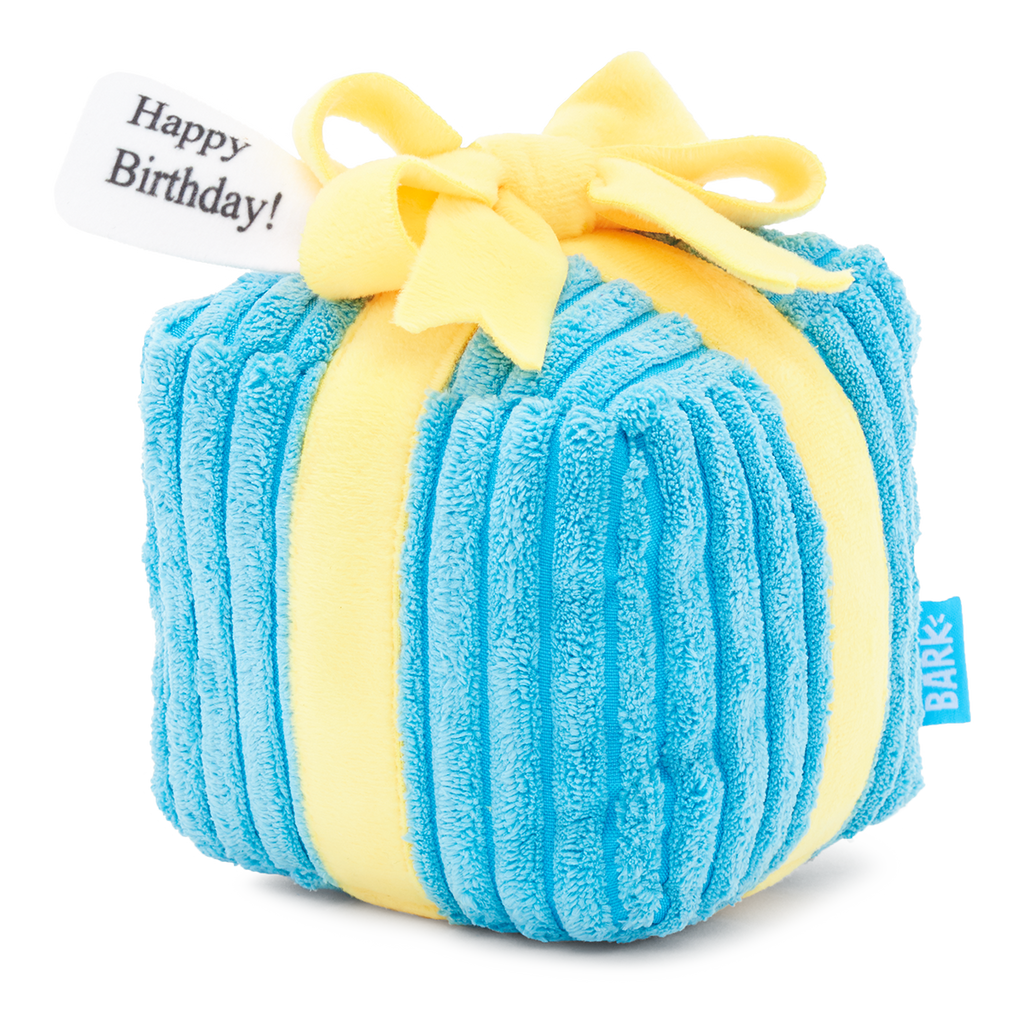 AmuseablesRainbowBirthdayCake新品 Throw A Party Present Plush 2-in-1 Dog Toy – BARK