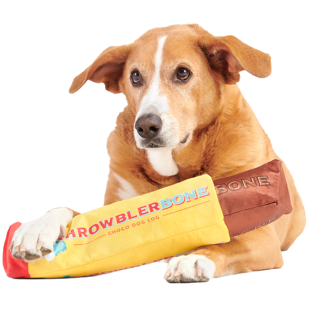 ThrowblerBone Plush Extra-Large + Multi-Part + Enrichment Dog Toy