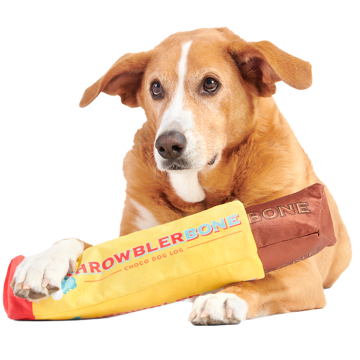 ThrowblerBone Plush Extra-Large Multi-Part + Enrichment Dog Toy