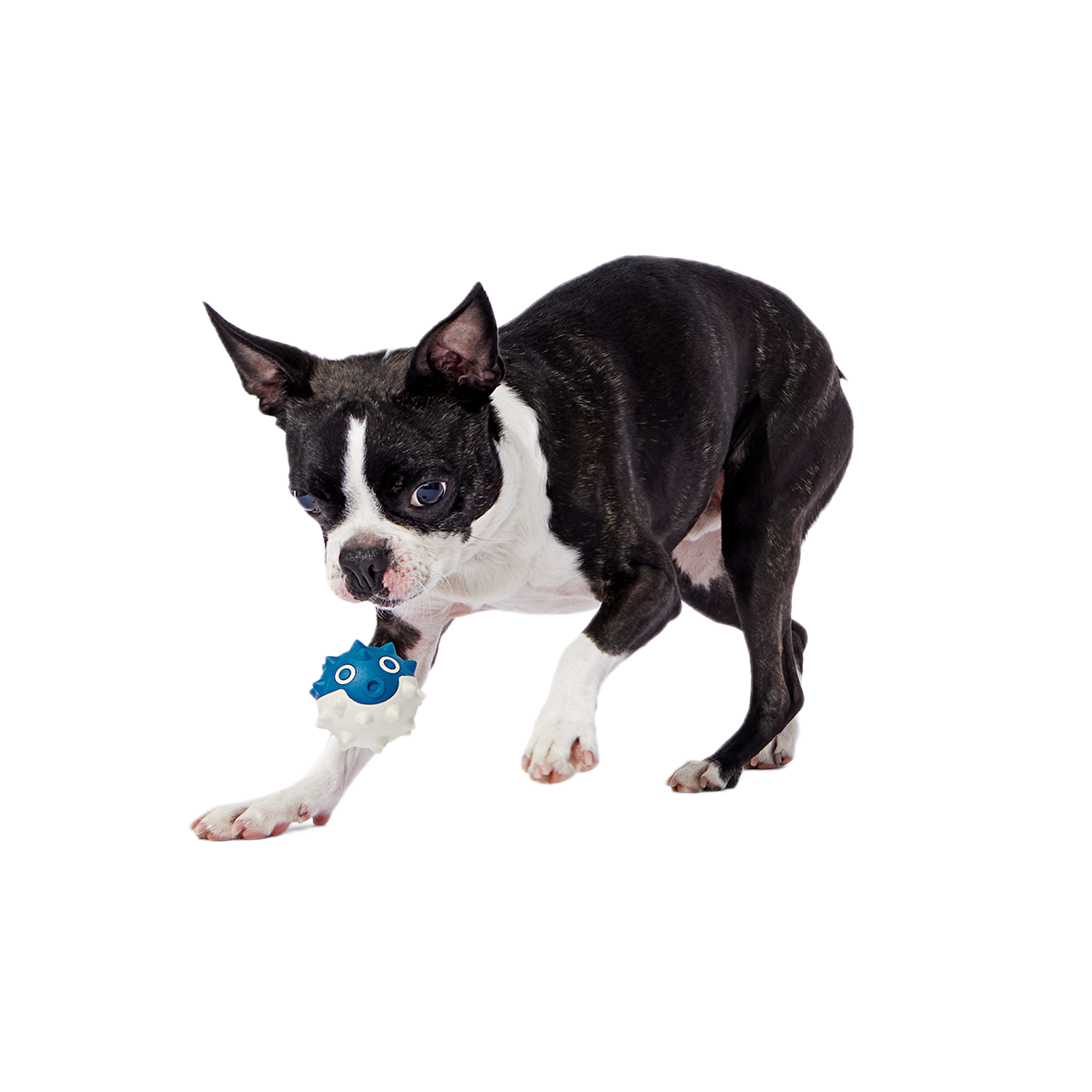 Throwfish Super Chewer Durable Fetch Dog Toy