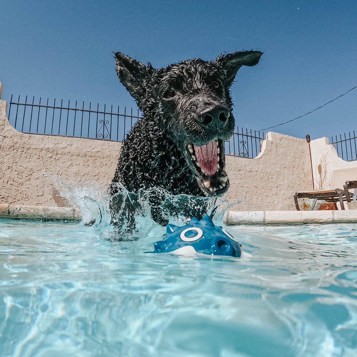 Throwfish Super Chewer Durable Fetch Dog Toy