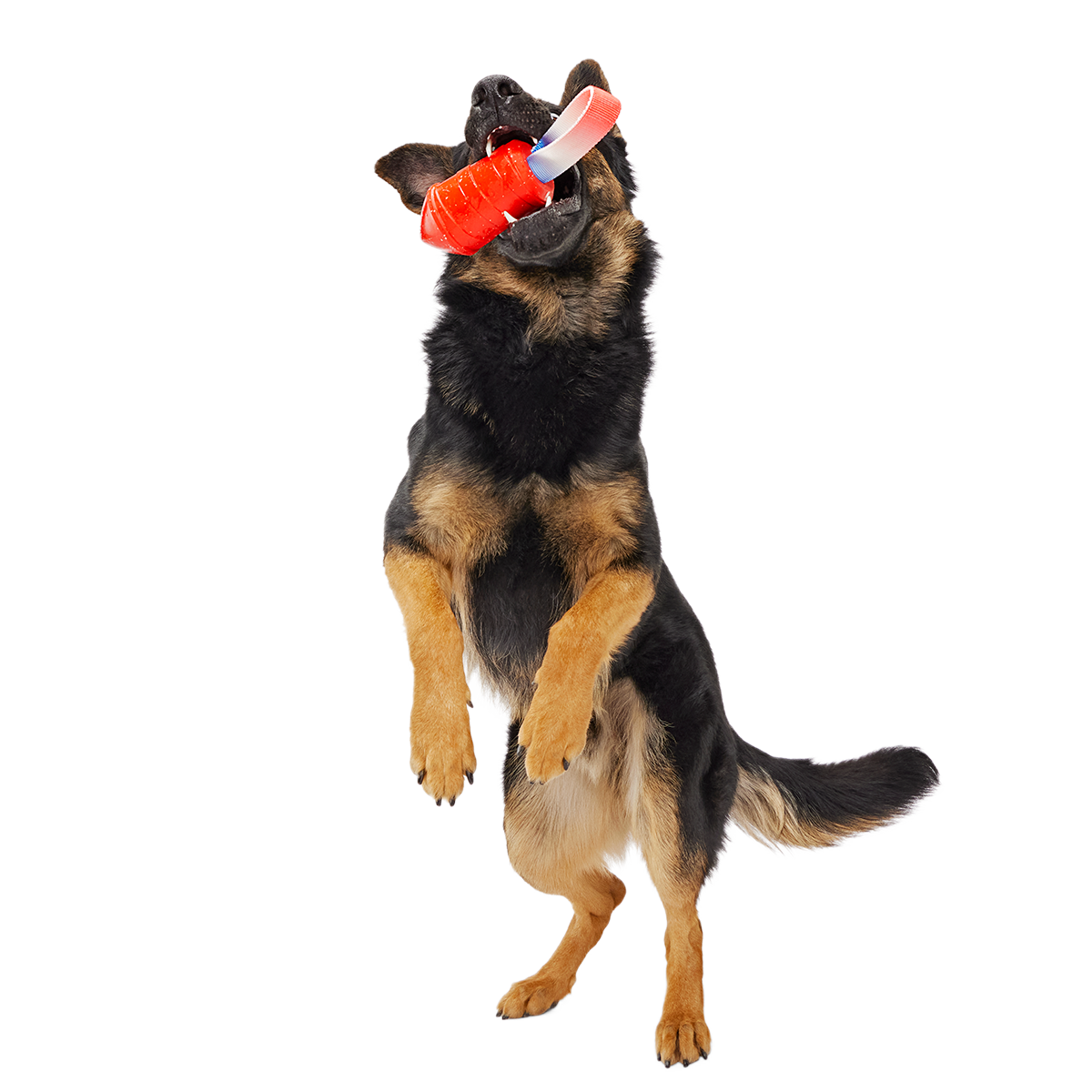 Throwman Candle Super Chewer Durable Tug Dog Toy