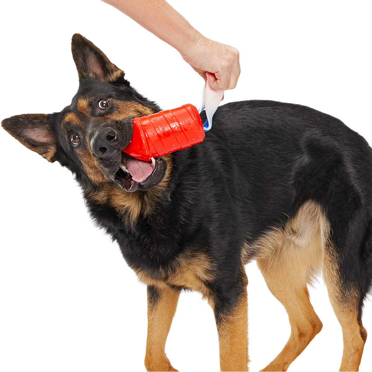 Throwman Candle Super Chewer Durable Tug Dog Toy