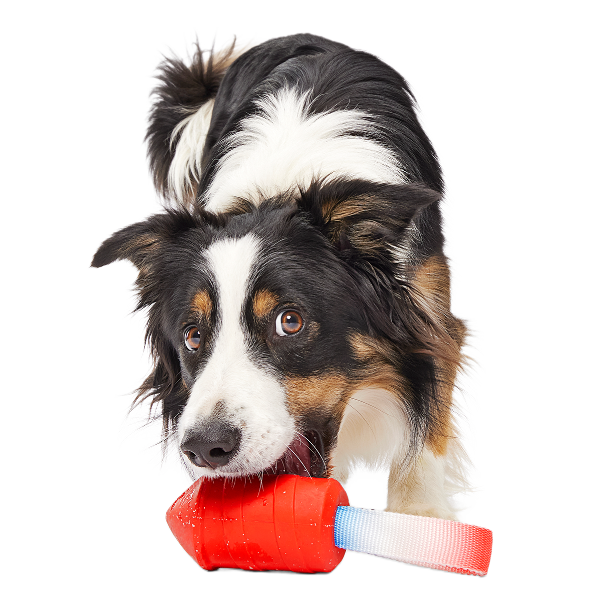 Throwman Candle Super Chewer Durable Tug Dog Toy