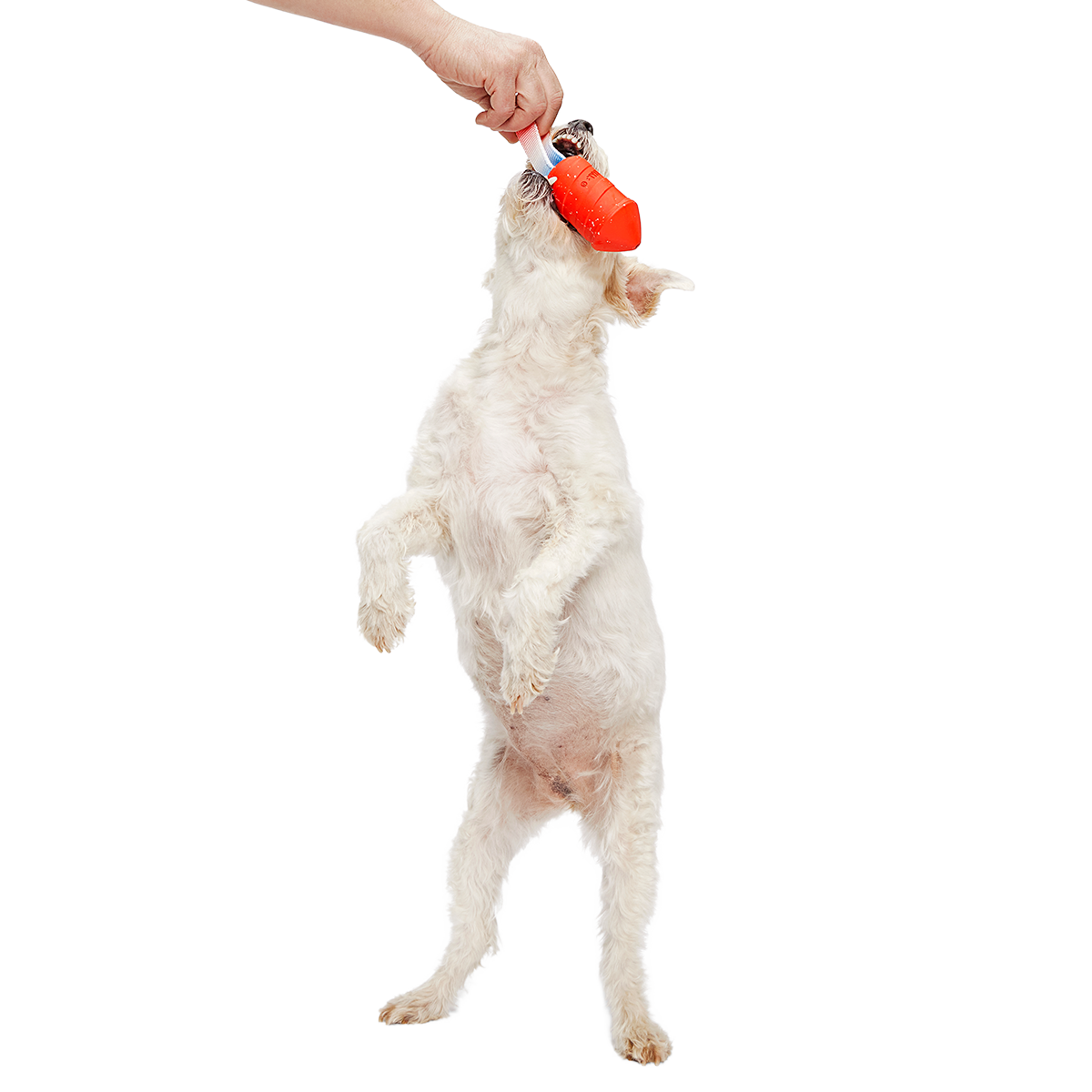 Throwman Candle Super Chewer Durable Tug Dog Toy