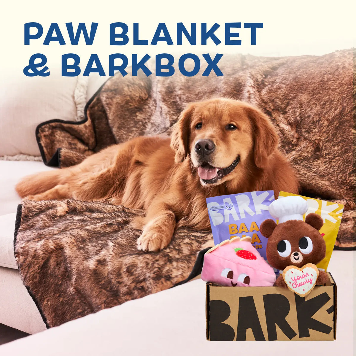 Bark Box Package BARK Dog Subscription Box | Dog Toys, Treats, & Fun Delivered