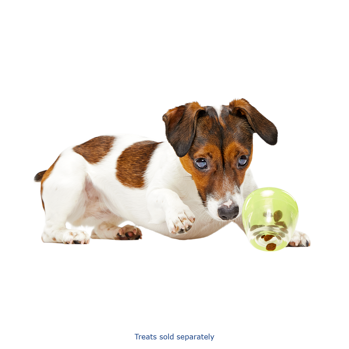 Tipsy Margarita Super Chewer Durable Enrichment Dog Toy