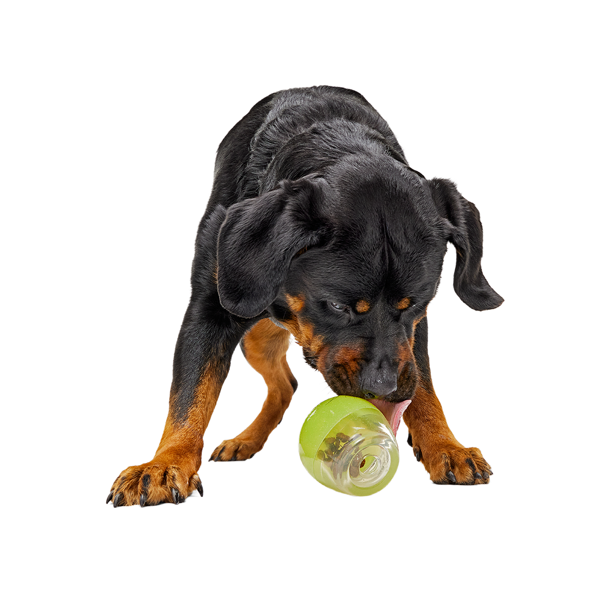 Tipsy Margarita Super Chewer Durable Enrichment Dog Toy