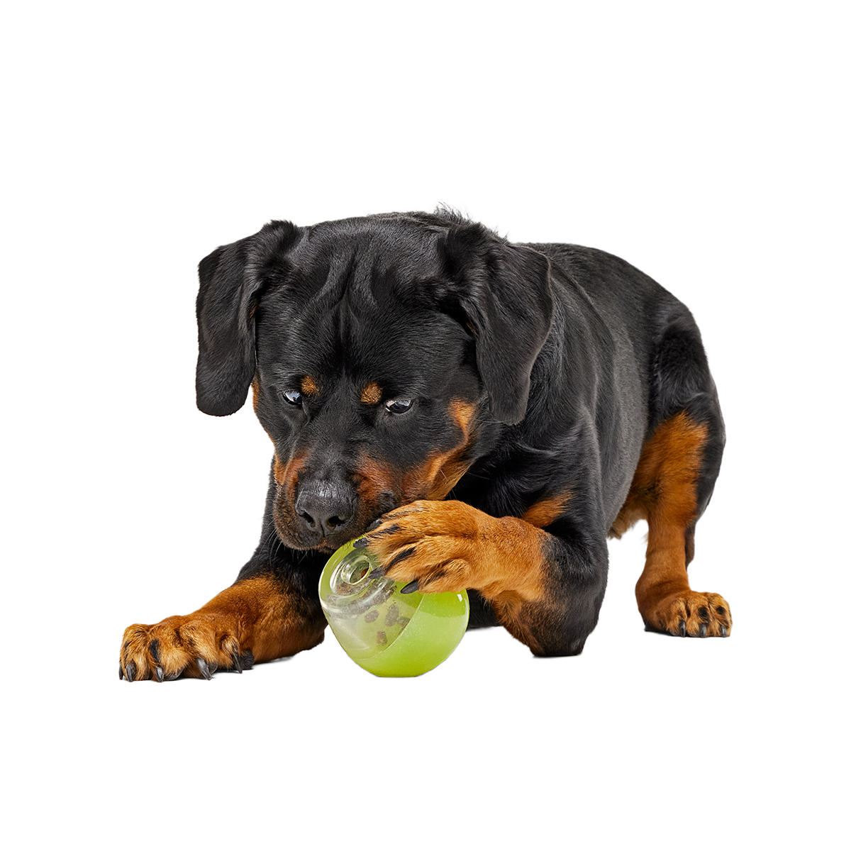 Tipsy Margarita Super Chewer Durable Enrichment Dog Toy