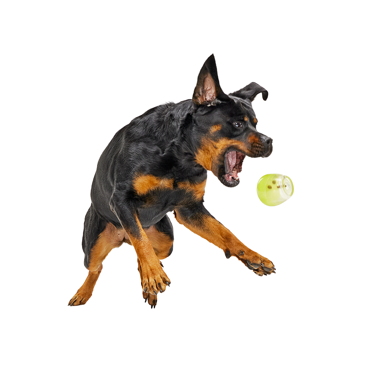 Tipsy Margarita Super Chewer Durable Enrichment Dog Toy