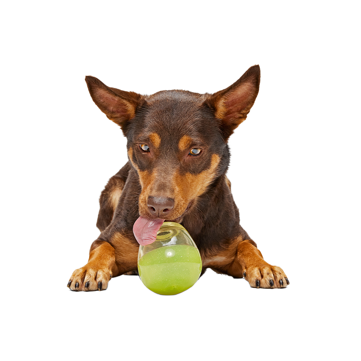Tipsy Margarita Super Chewer Durable Enrichment Dog Toy