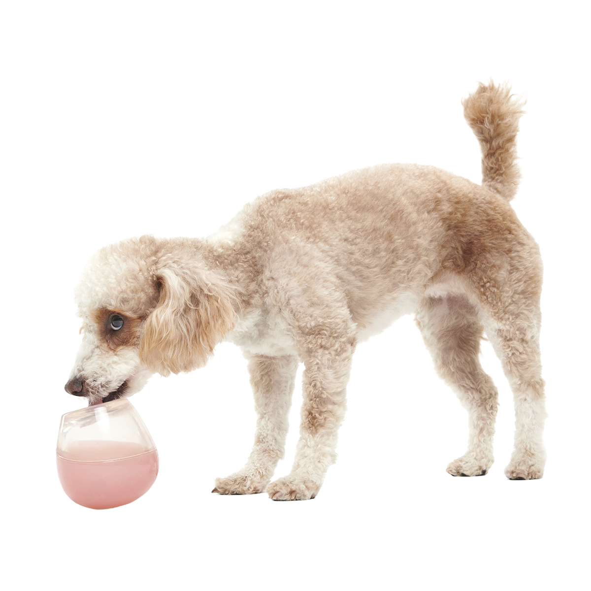 Tipsy Rose Super Chewer Durable Enrichment Dog Toy
