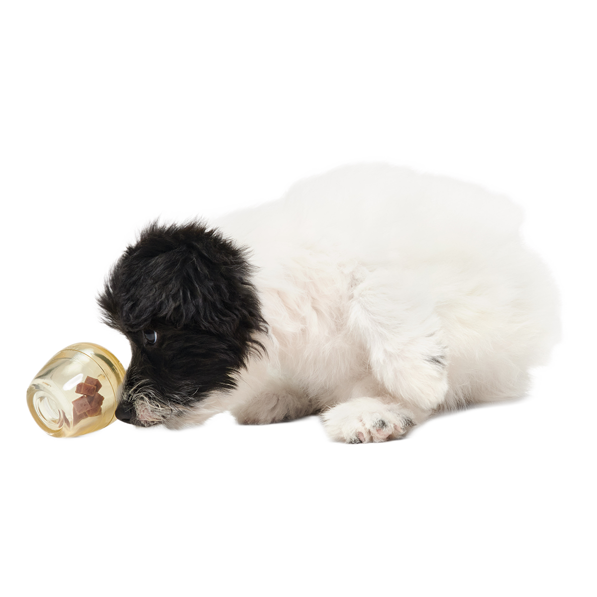 Tipsy Toast Glass Super Chewer Durable Enrichment Dog Toy