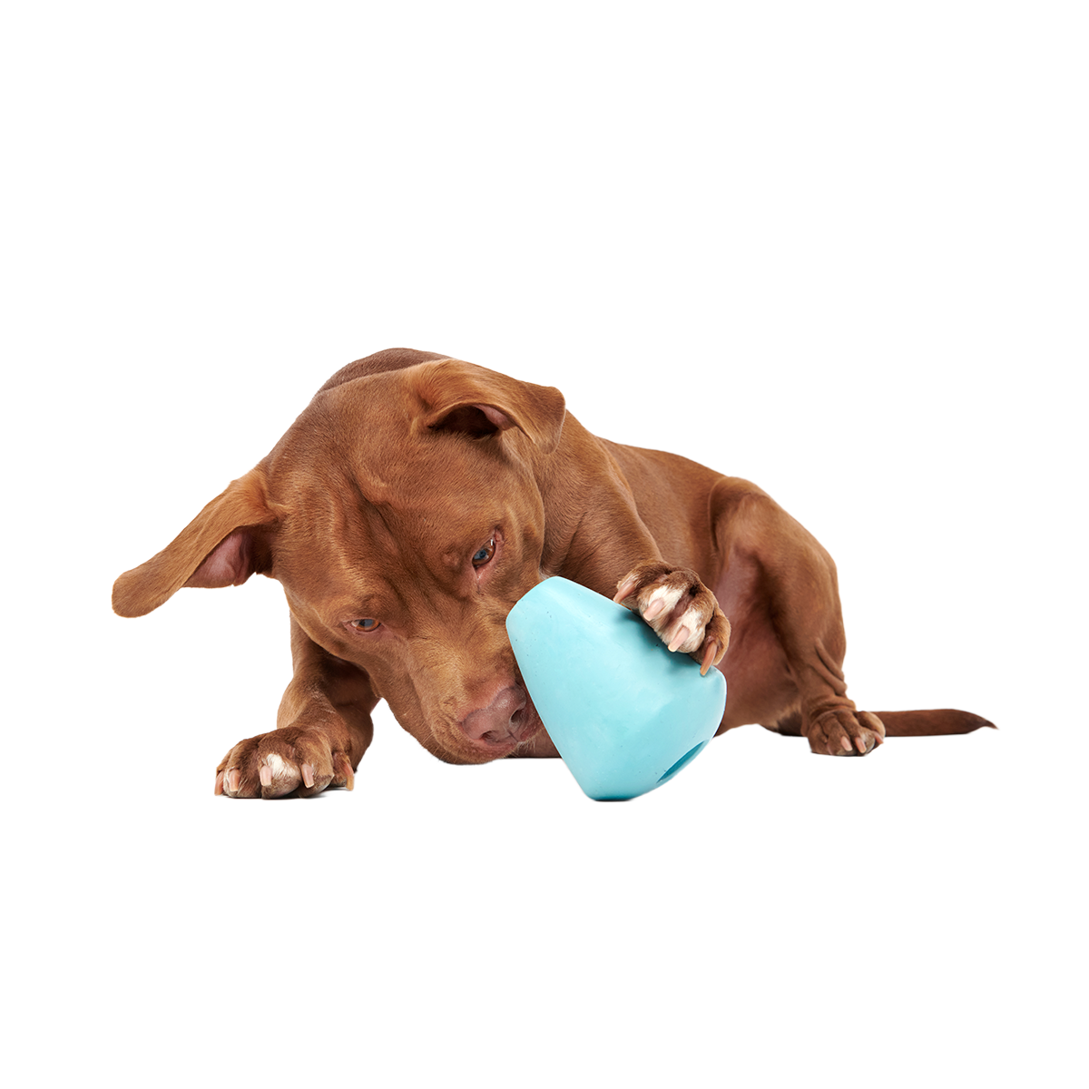 Titan Super Chewer Durable Enrichment Dog Toy