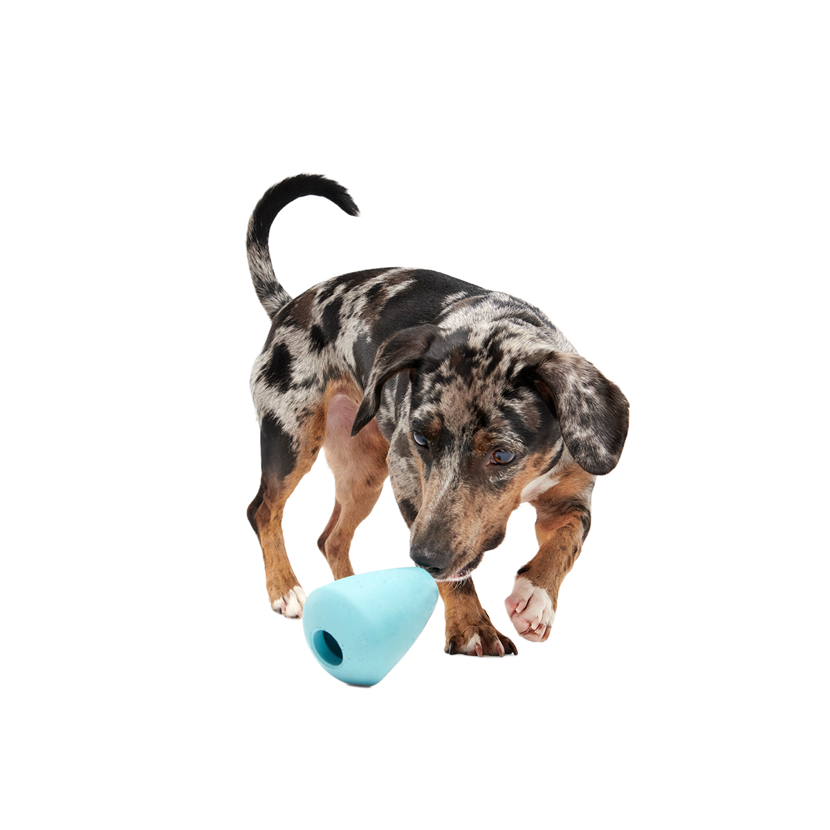 Titan Super Chewer Durable Enrichment Dog Toy
