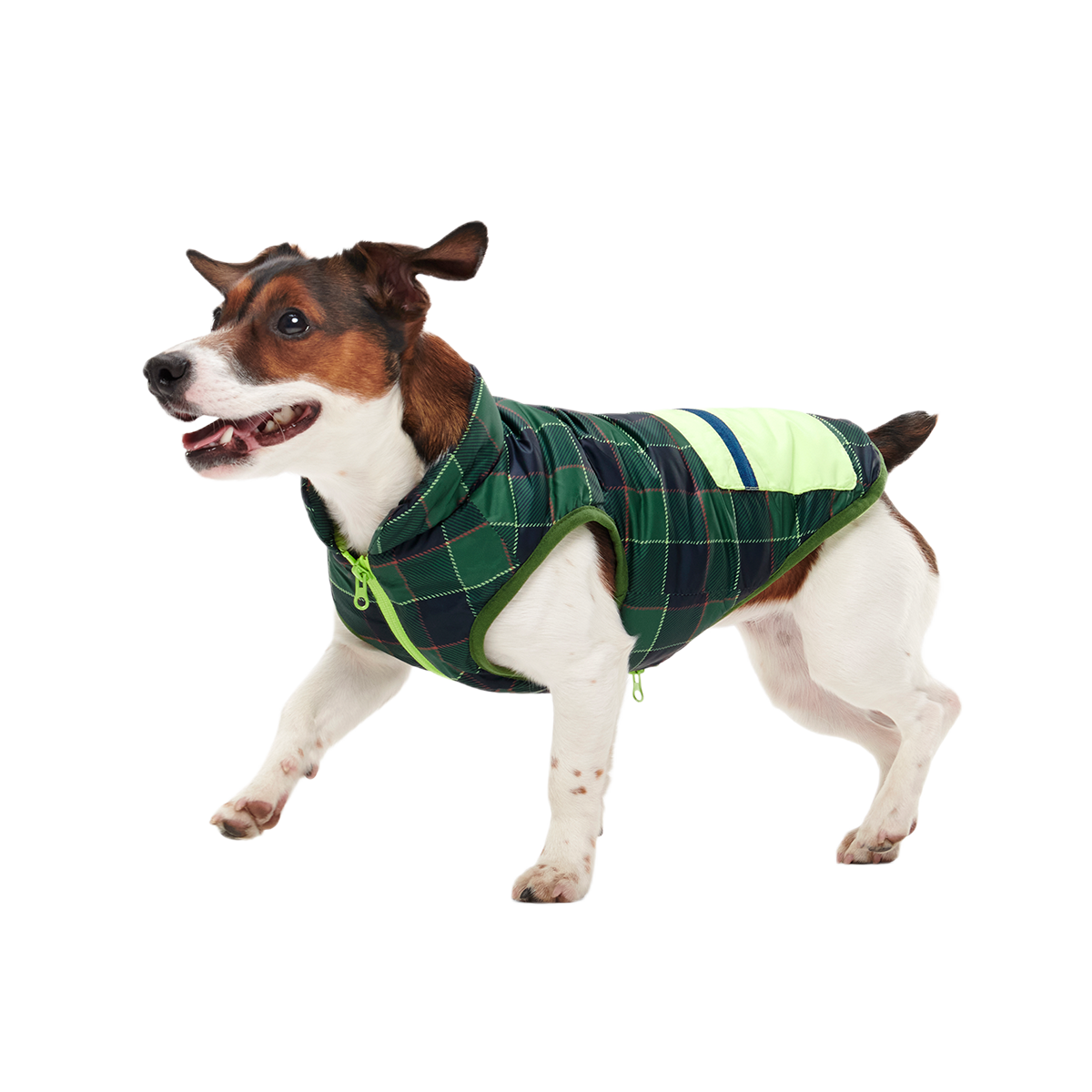 Plaid To The Bone Dog Puffer Vest#Color_Green #Size_S