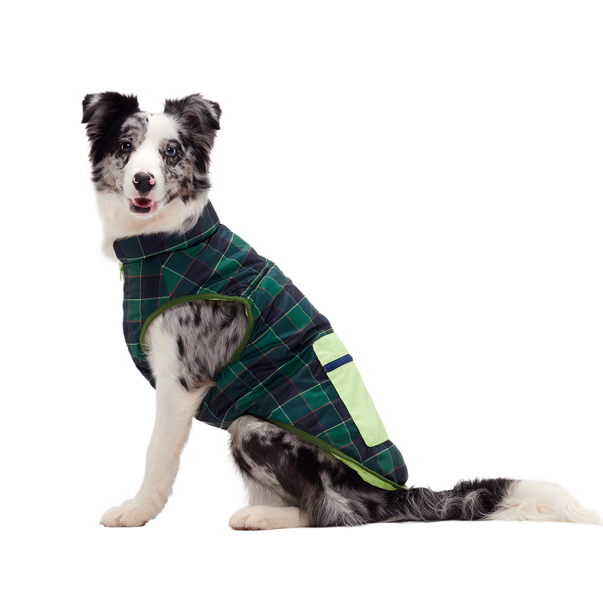Plaid To The Bone Dog Puffer Vest#Color_Green #Size_M