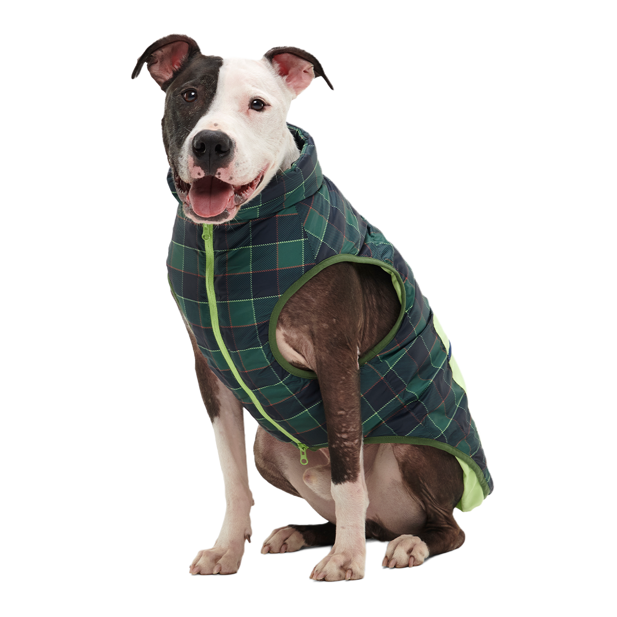 Plaid To The Bone Dog Puffer Vest#Color_Green #Size_L